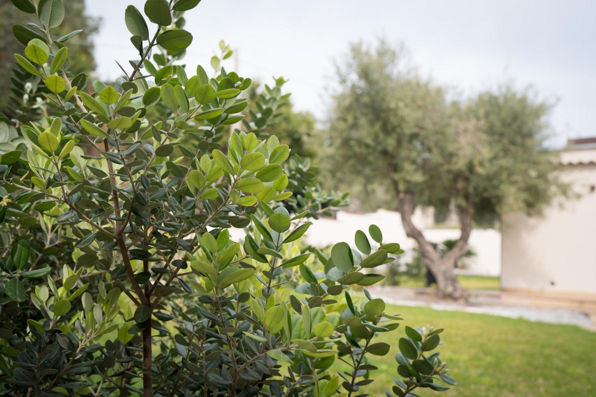 B&B La Manica Milazzo Exterior photo