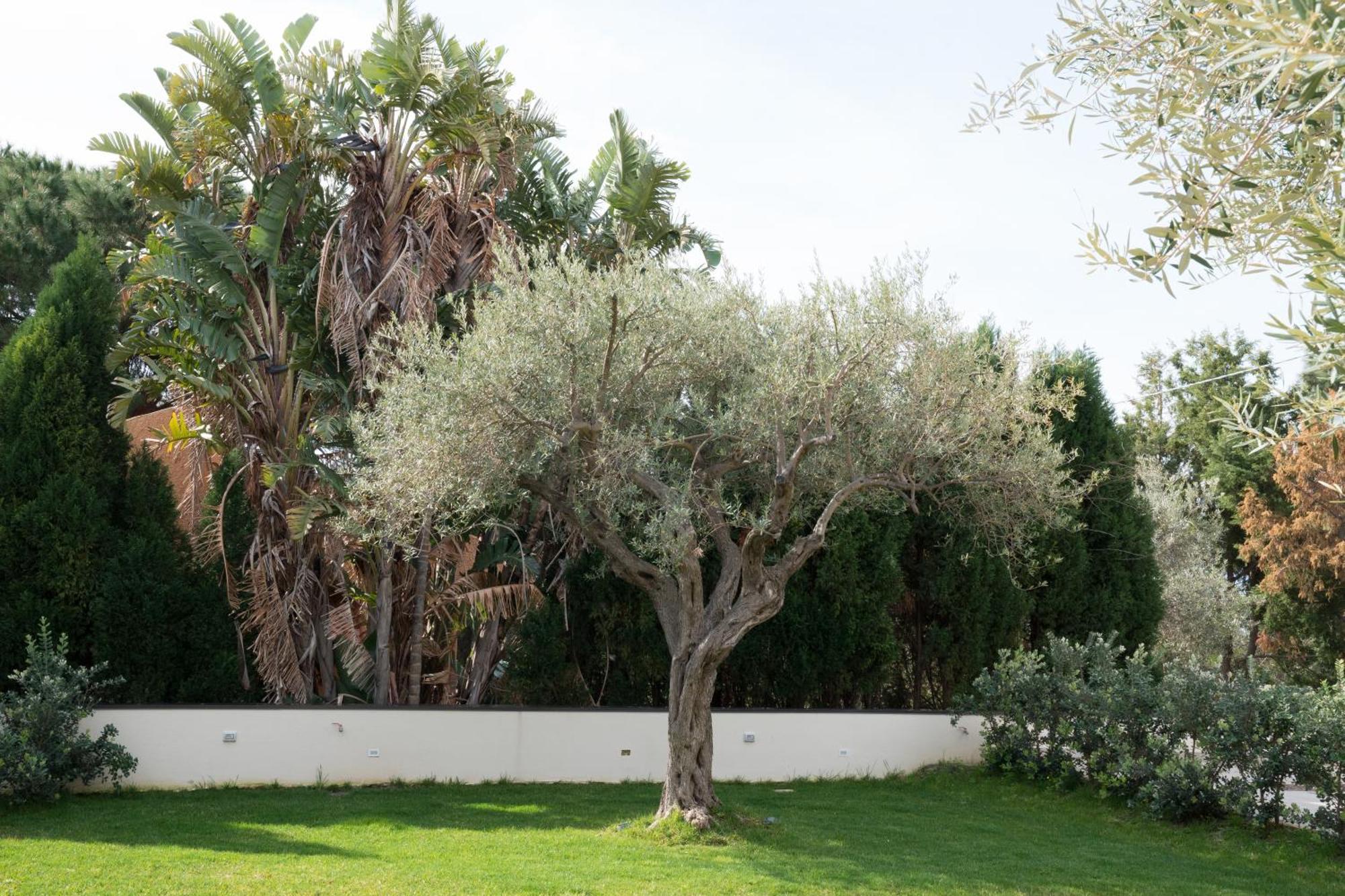 B&B La Manica Milazzo Exterior photo